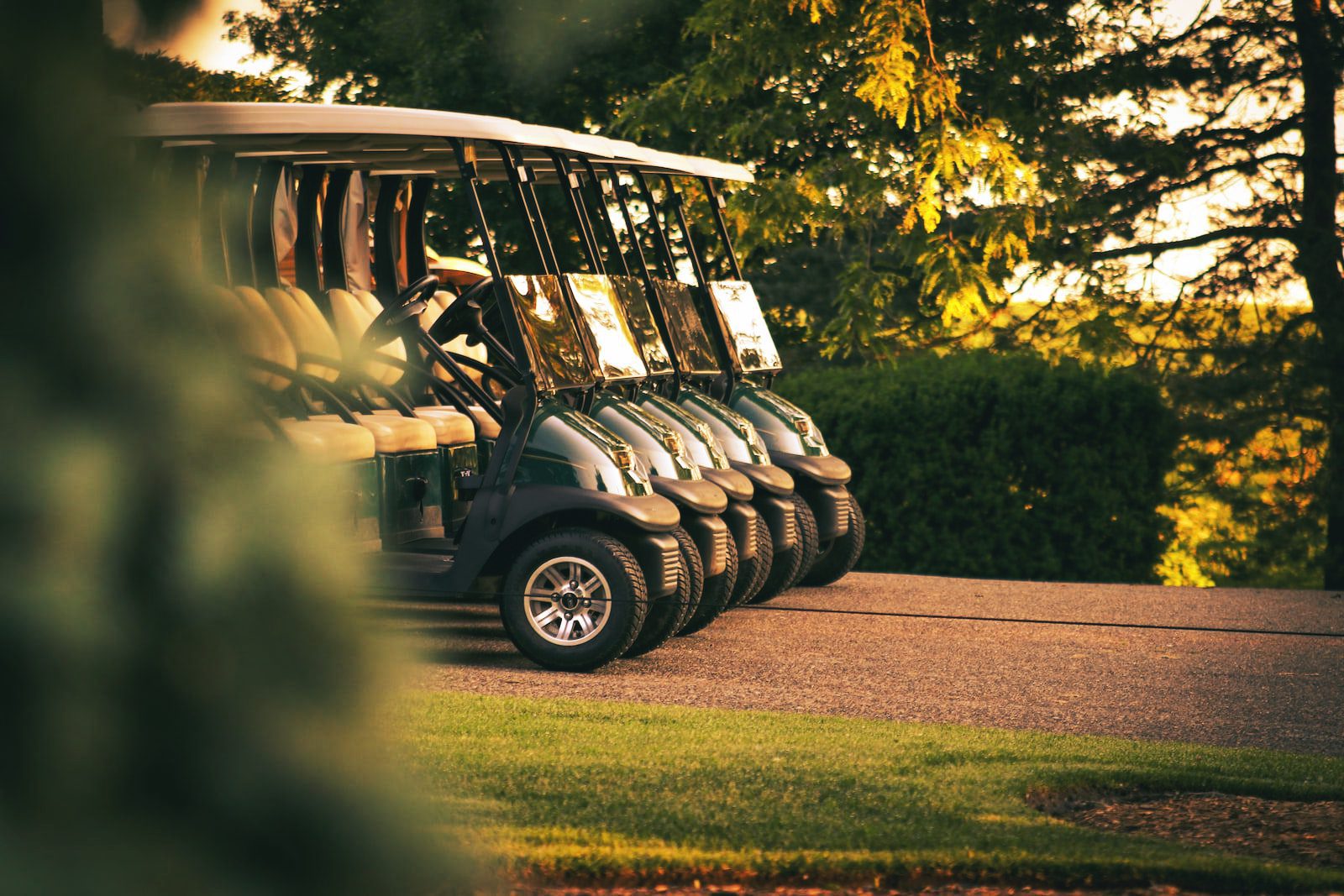 Row of Golf Carts